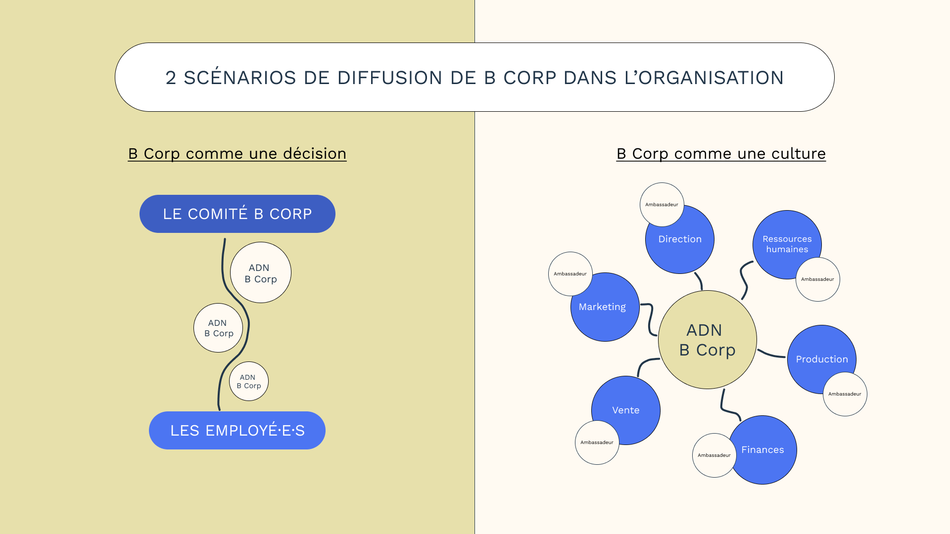 Diapositive : 2 scénarios de diffusion de B Corp dans l'organisation