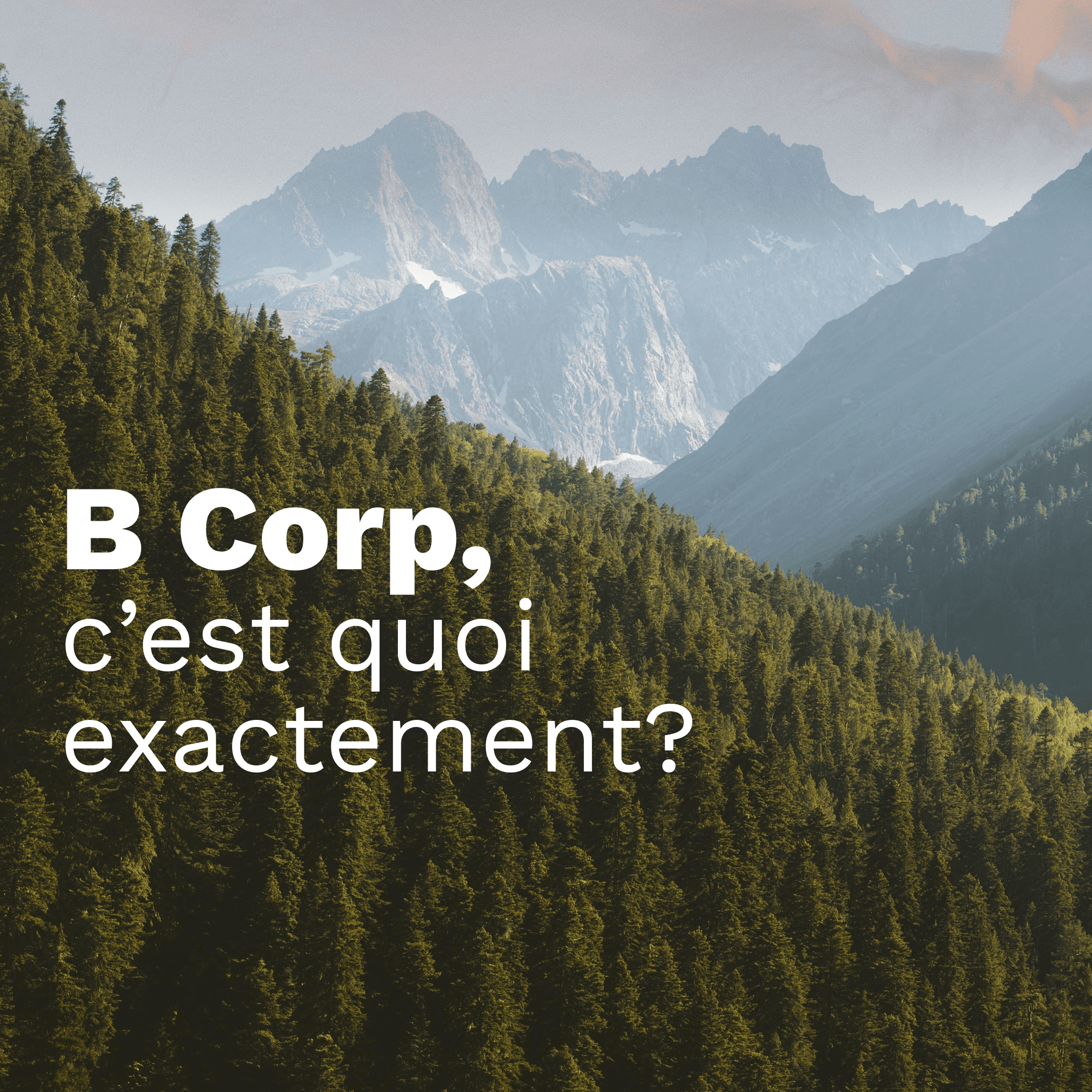 Expert B Corp Montréal Québec