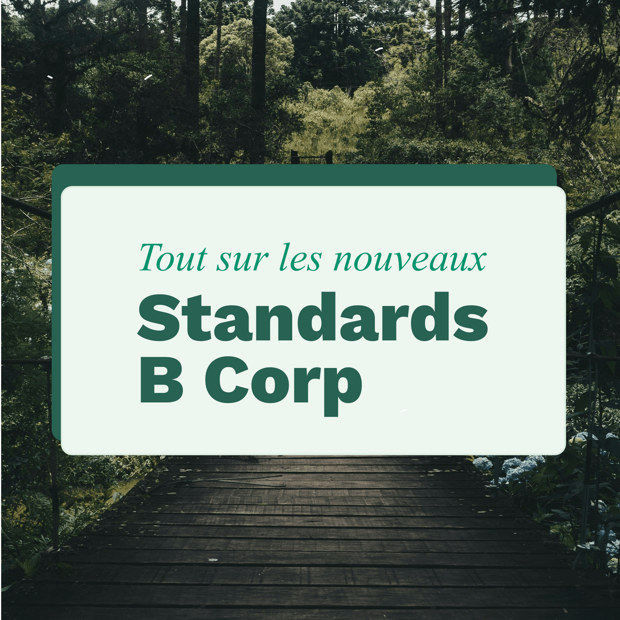Accompagnement B Corp Montréal Québec